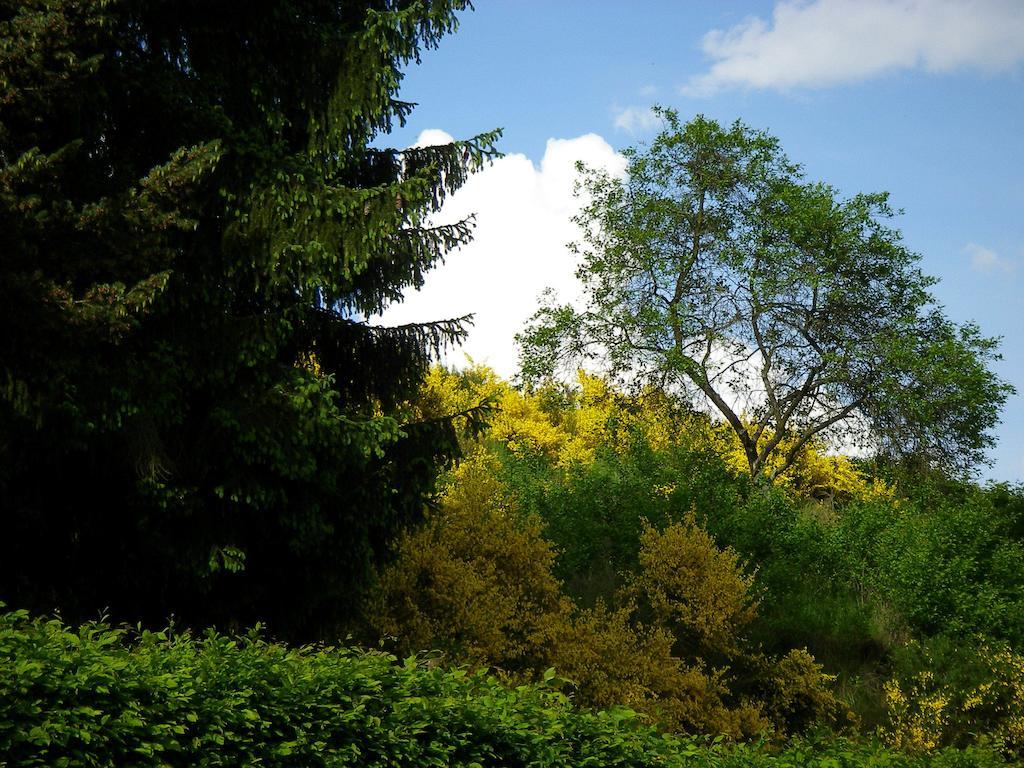 ホテル Auszeit Am Eifelsteig ダウン エクステリア 写真